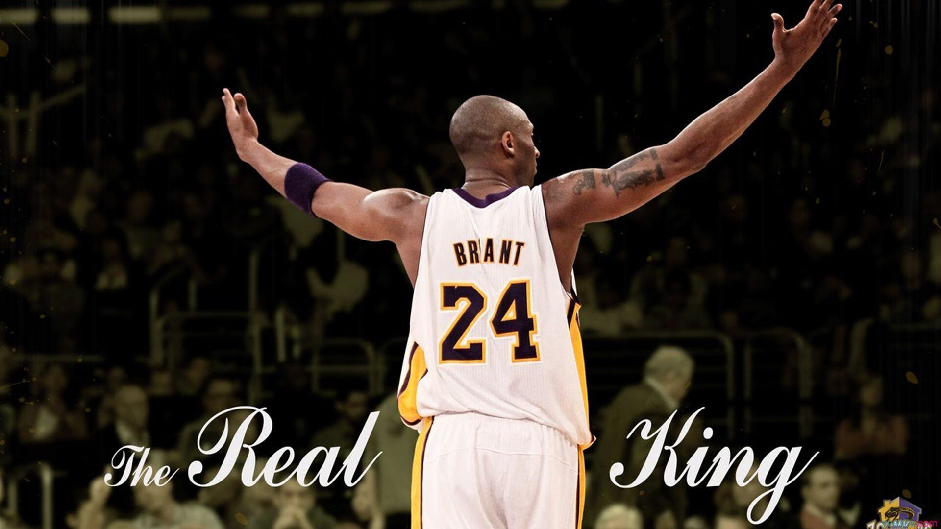 _高山云端：在雪山之巅进行的特殊赛事_，高山云层